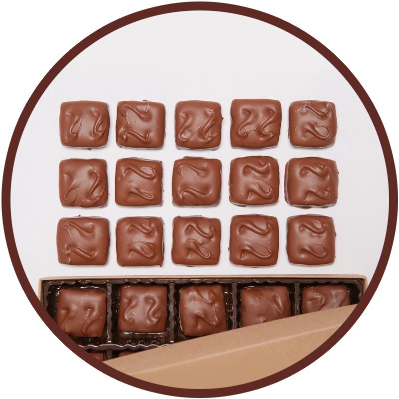 Full Size Name Brand Chocolate Candy Bar Silicone Mold 